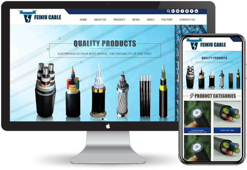 外貿獨立站建站